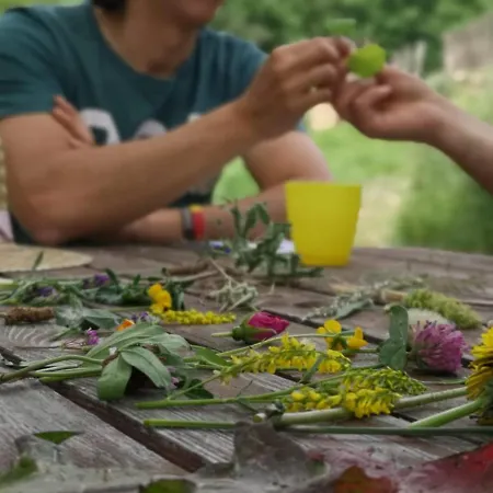 Cerdanya Viva Ecoestades 3* Prullans