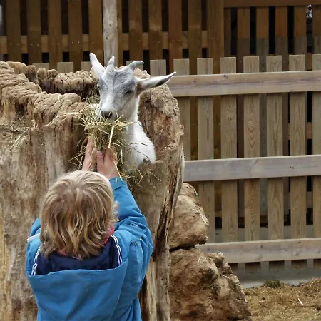 Cerdanya Viva Ecoestades 3*