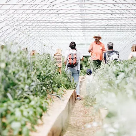 Cerdanya Viva Ecoestades 3*