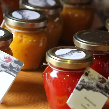 Cerdanya Viva Ecoestades 3*